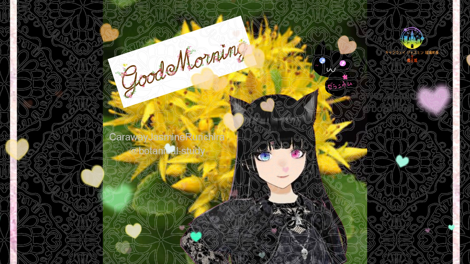 「キリンソウ」とCジャスミン瑠璃地楽の今日の誕生花B-8月13日＠botanical-study