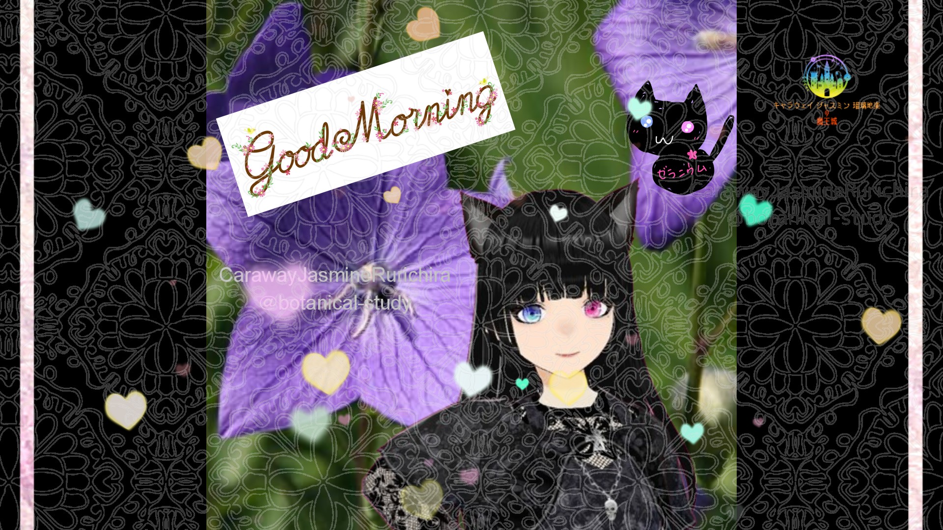 「キキョウ」とCジャスミン瑠璃地楽の今日の誕生花B-9月1日＠botanical-study