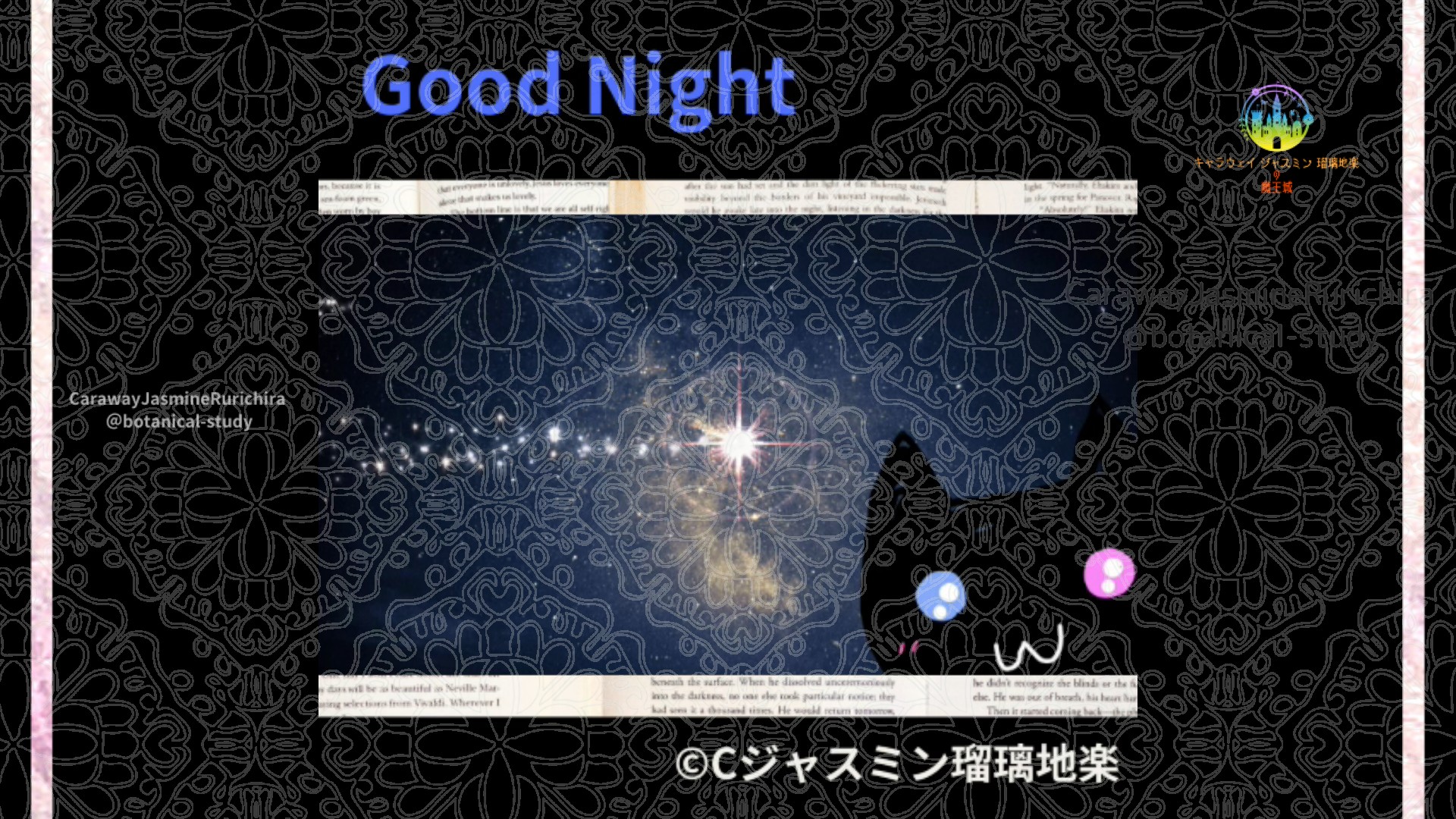 おやすみBU1 010＠botanical-study