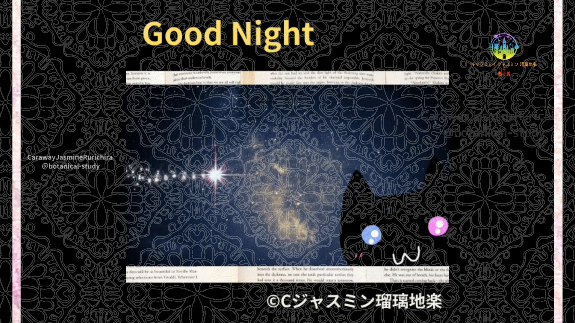 おやすみYE1 010＠botanical-study