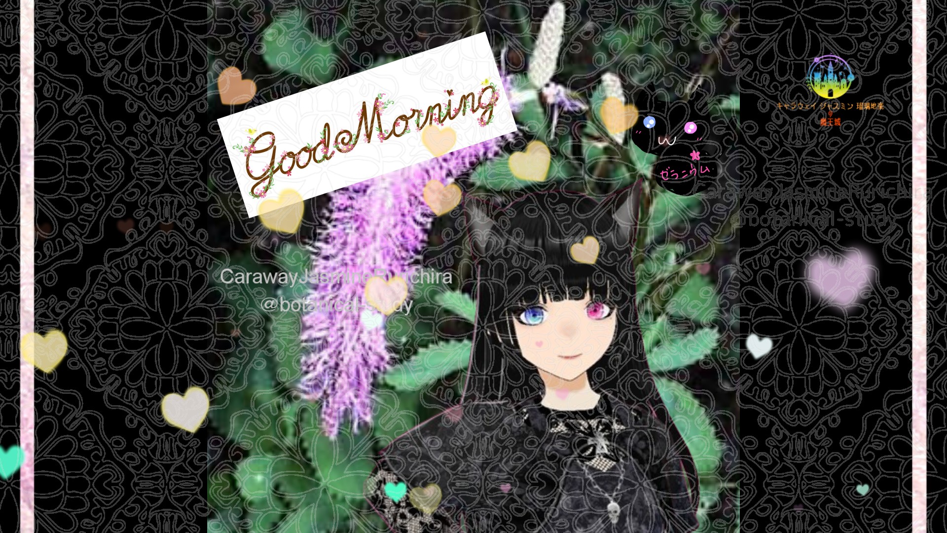 「カライトソウ」とCジャスミン瑠璃地楽の今日の誕生花B-8月16日＠botanical-study