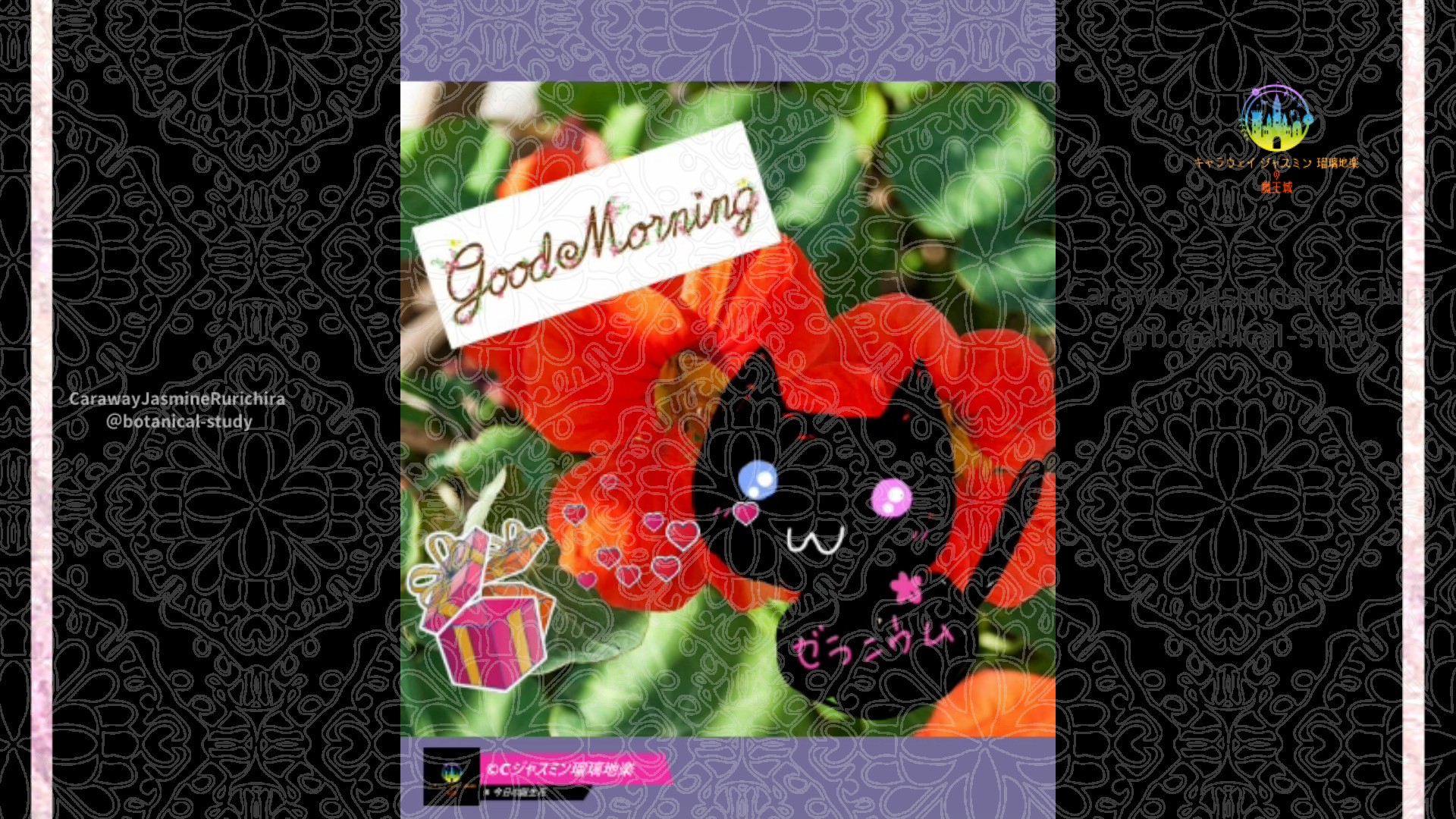 「ナスタチウム」9月6日Rゼラニウム瑠璃地楽と今日の誕生花とおはようメッセージ@botanical-study