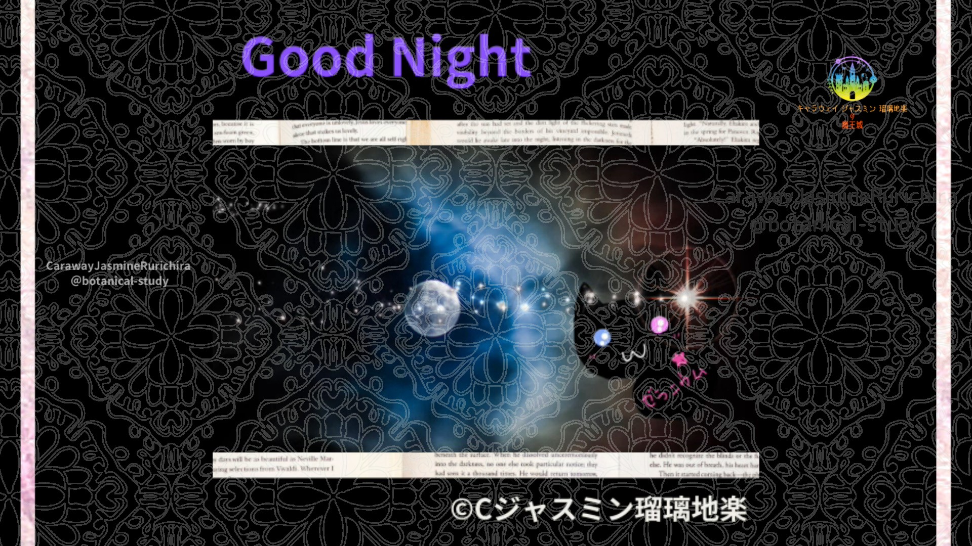 おやすみPU1 014＠botanical-study