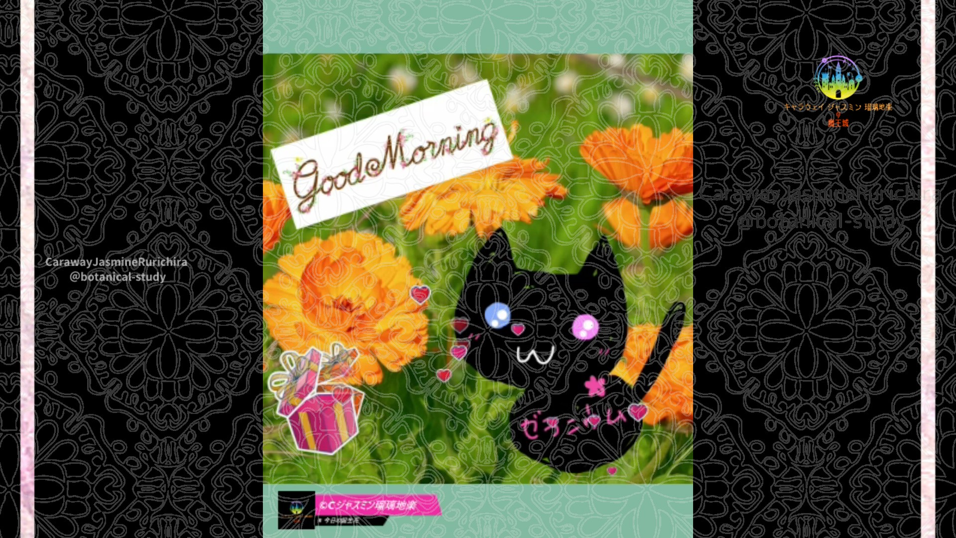 「マリーゴールド」9月5日Rゼラニウム瑠璃地楽と今日の誕生花とおはようメッセージ@botanical-study