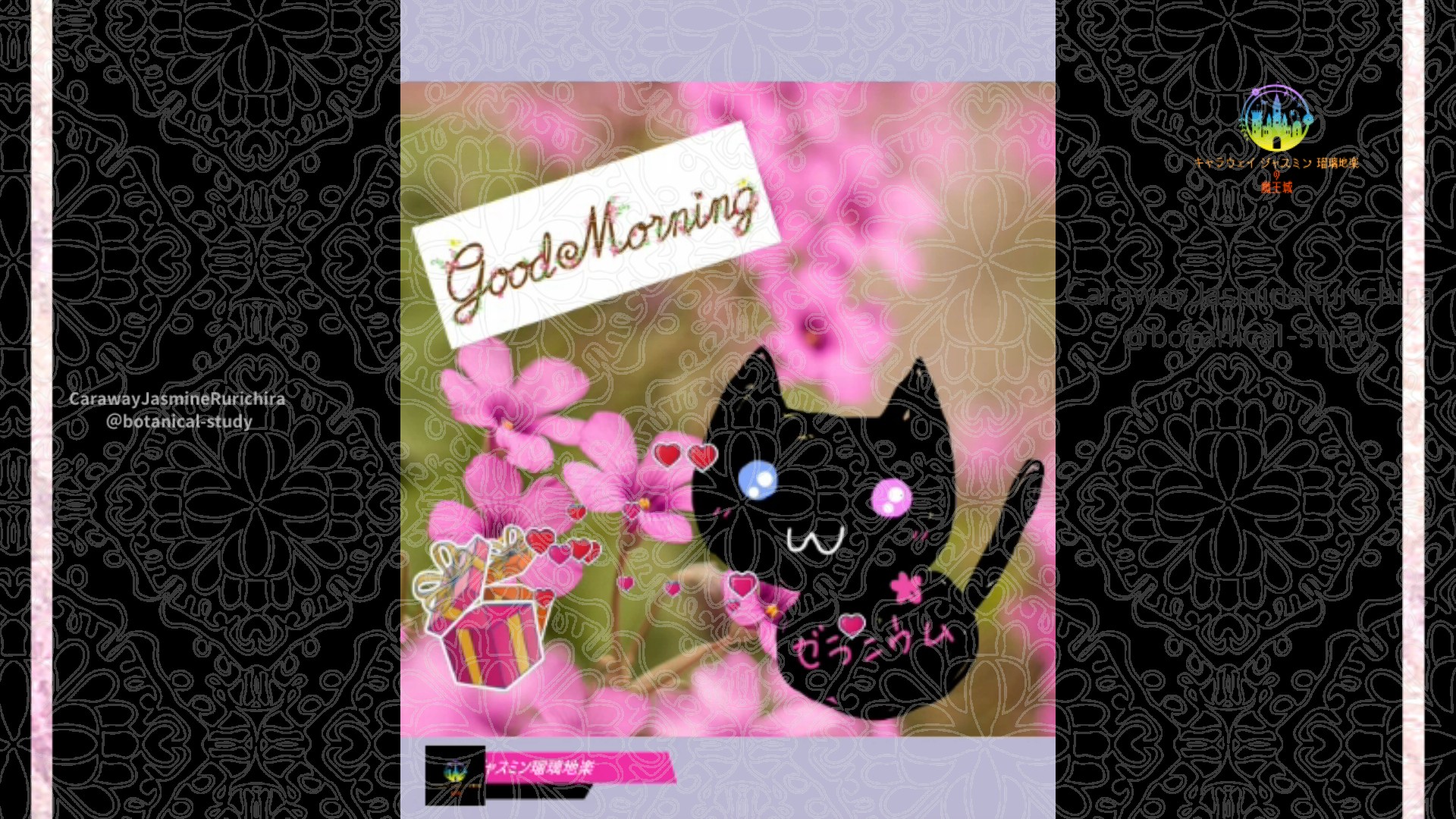 「オキザリス」10月1日Rゼラニウム瑠璃地楽と今日の誕生花とおはようメッセージ＠botanical-study