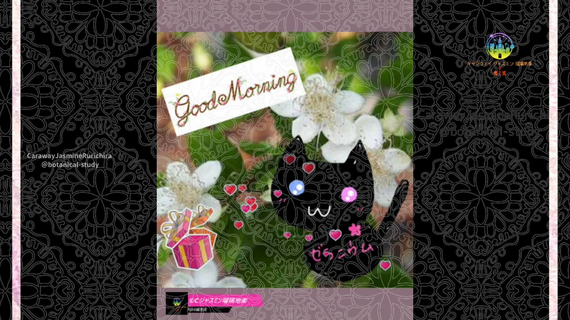 「マートル」9月21日Rゼラニウム瑠璃地楽と今日の誕生花とおはようメッセージ@botanical-study
