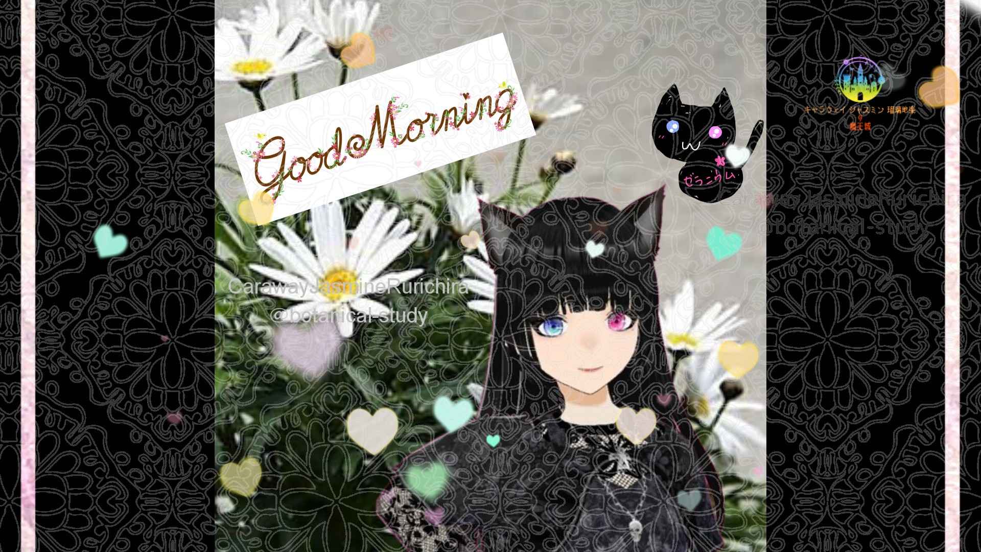 「マーガレット」9月3日とCジャスミン瑠璃地楽の今日の誕生花＠botanical-study