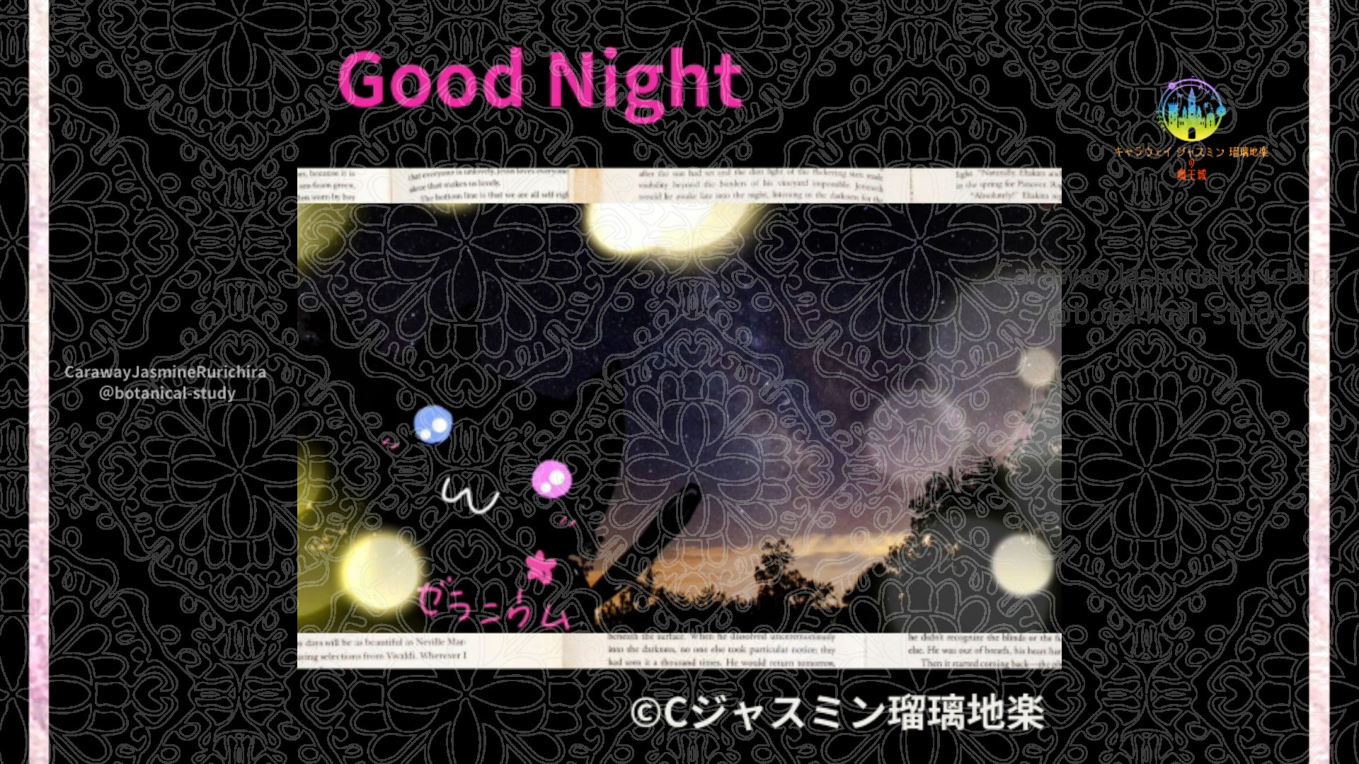 おやすみMP1 015＠botanical-study