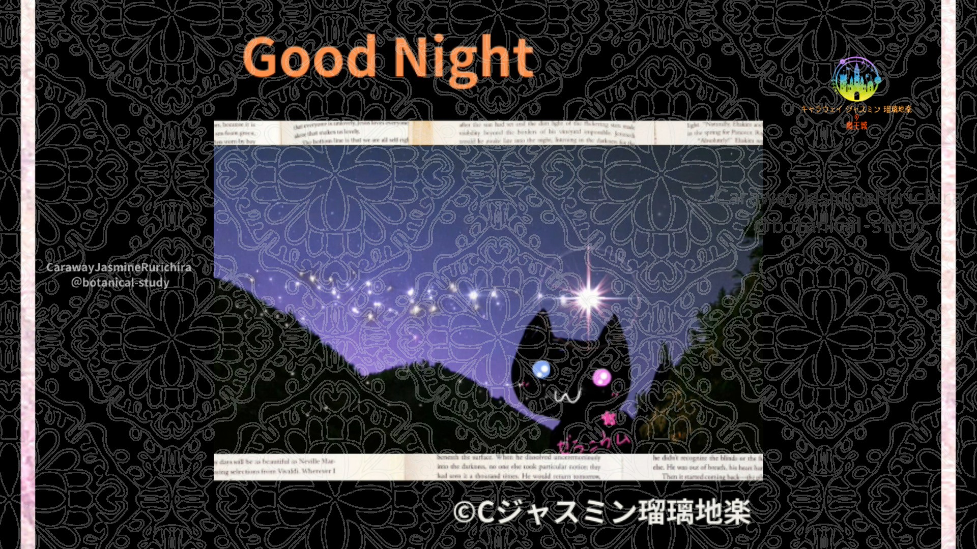 おやすみOR1 017＠botanical-study