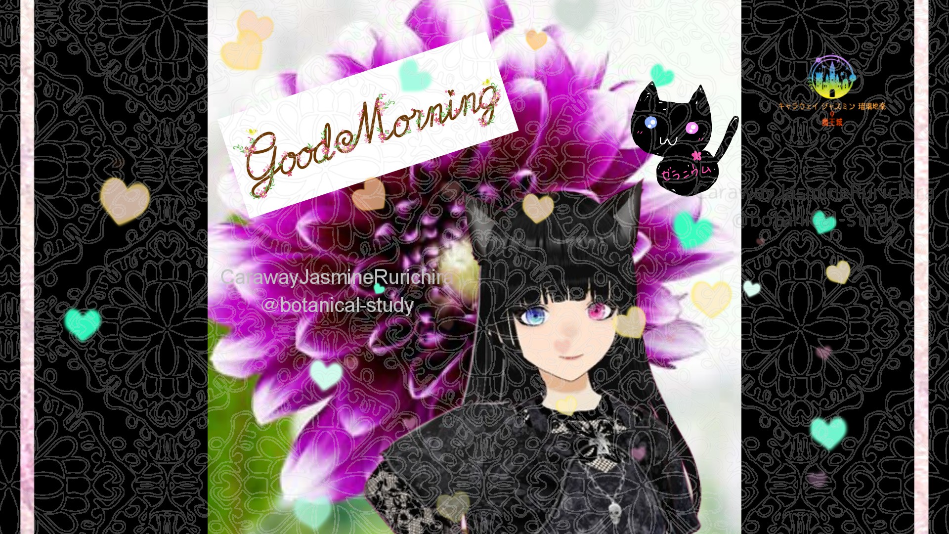 「ダリア」とCジャスミン瑠璃地楽の今日の誕生花B-9月15日＠botanical-study