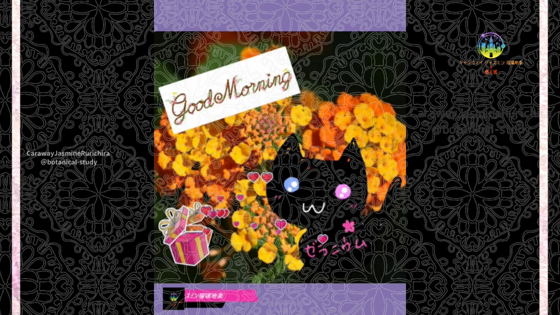 「ランタナ」9月7日Rゼラニウム瑠璃地楽と今日の誕生花とおはようメッセージ@botanical-study