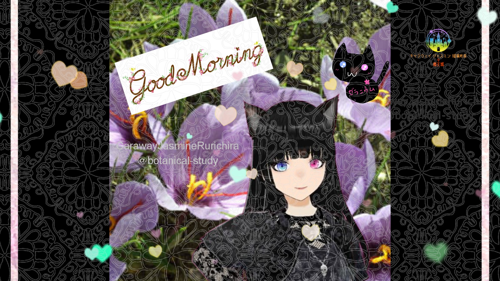 「サフラン」9月11日Rゼラニウム瑠璃地楽と今日の誕生花とおはようメッセージ＠botanical-study