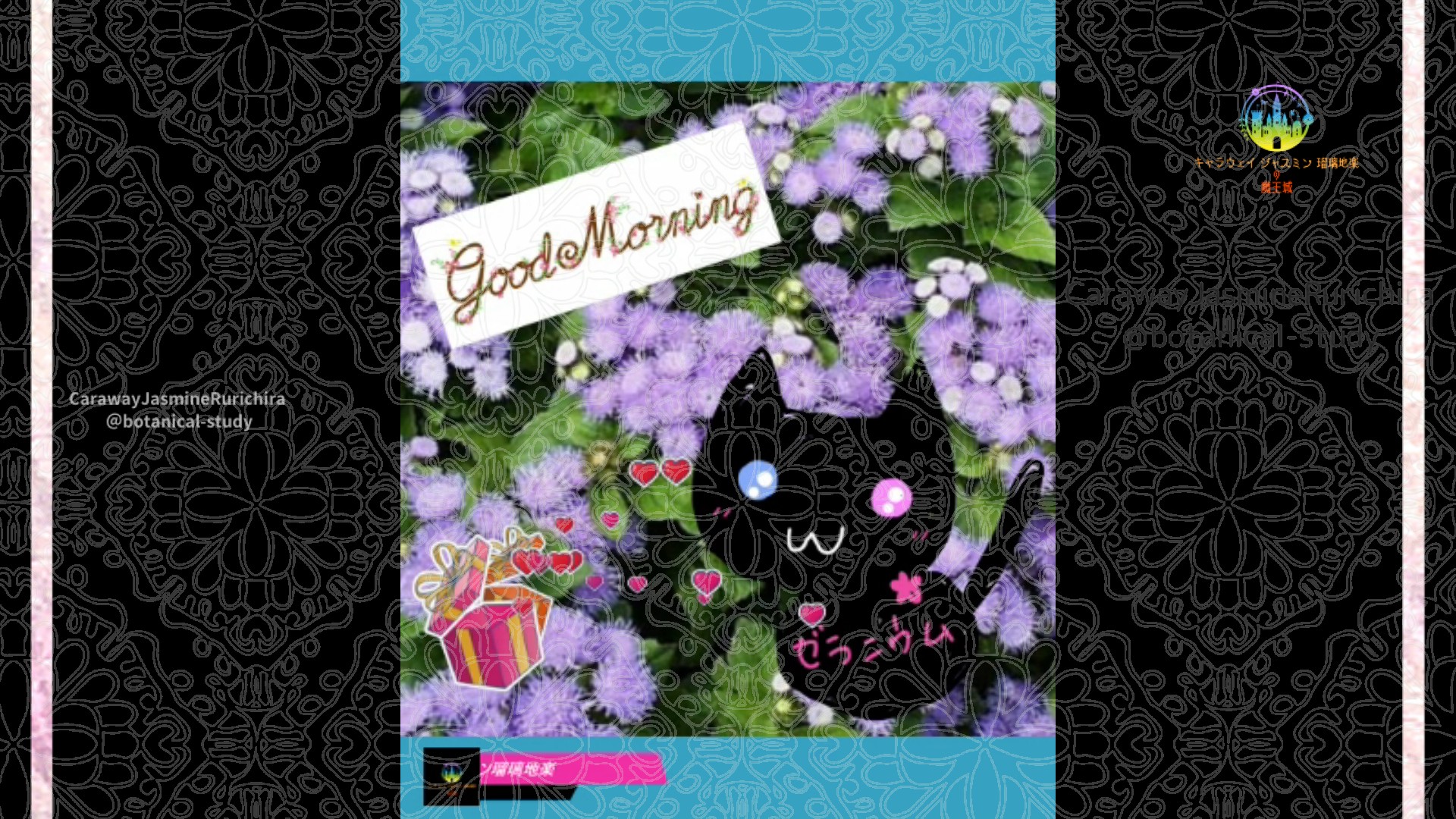 「アゲラタム」9月14日Rゼラニウム瑠璃地楽と今日の誕生花とおはようメッセージ＠botanical-study