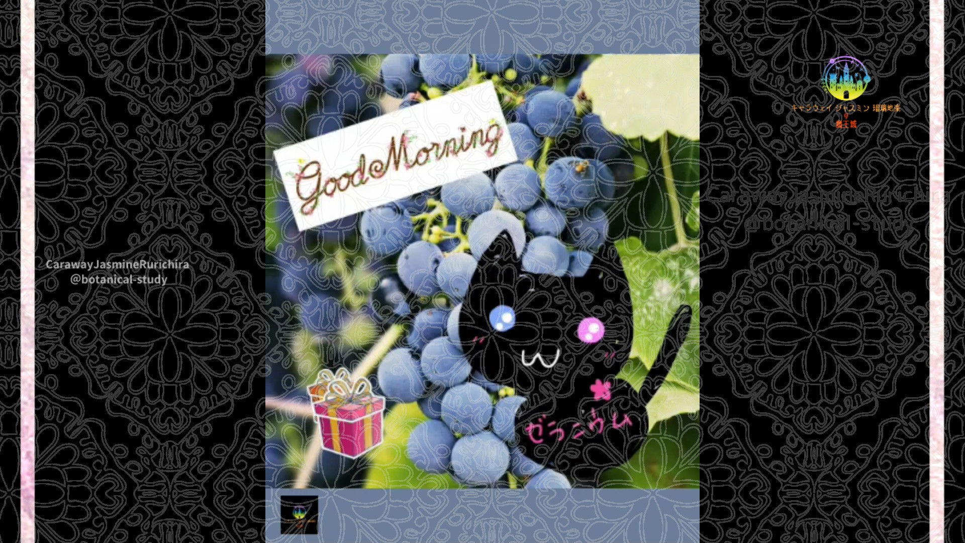 「ブルーベリー」9月11日Rゼラニウム瑠璃地楽と今日の誕生花とおはようメッセージ@botanical-study