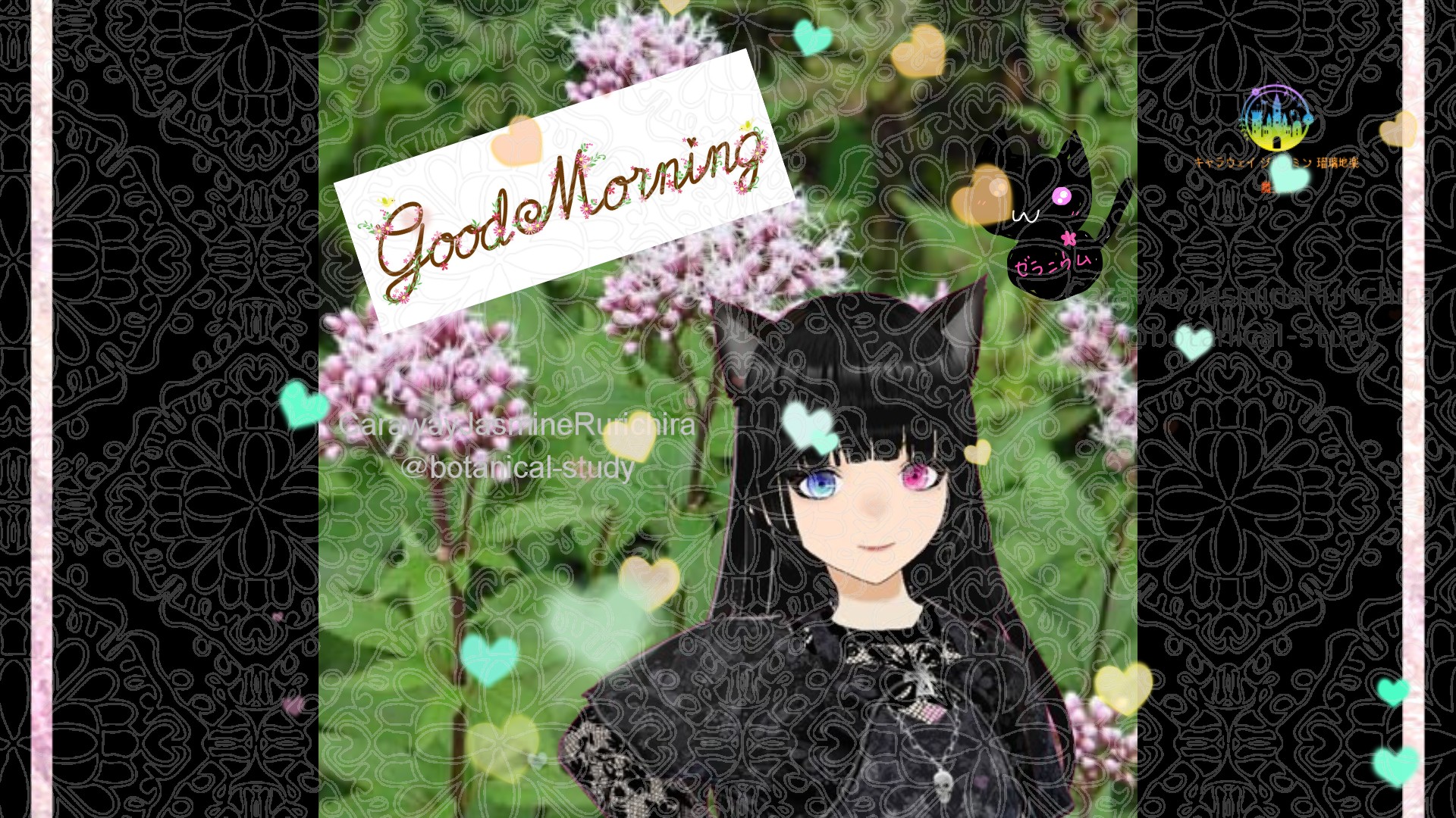 「フジバカマ」とCジャスミン瑠璃地楽の今日の誕生花B-9月28日＠botanical-study