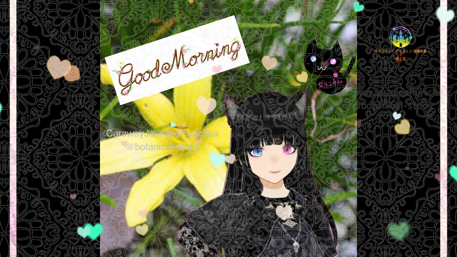 「ゼフィランサス」とCジャスミン瑠璃地楽の今日の誕生花B-9月8日＠botanical-study