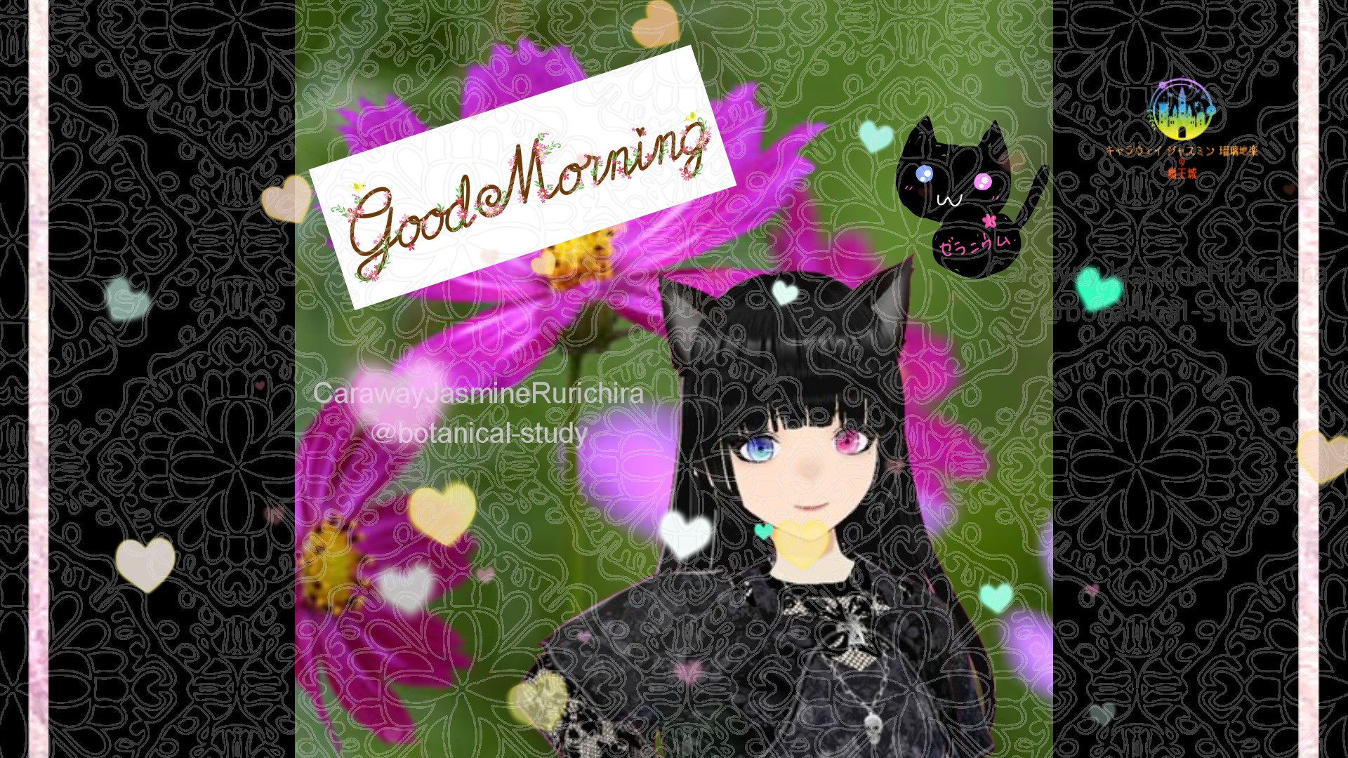 「コスモス」とCジャスミン瑠璃地楽の今日の誕生花B-9月27日＠botanical-study