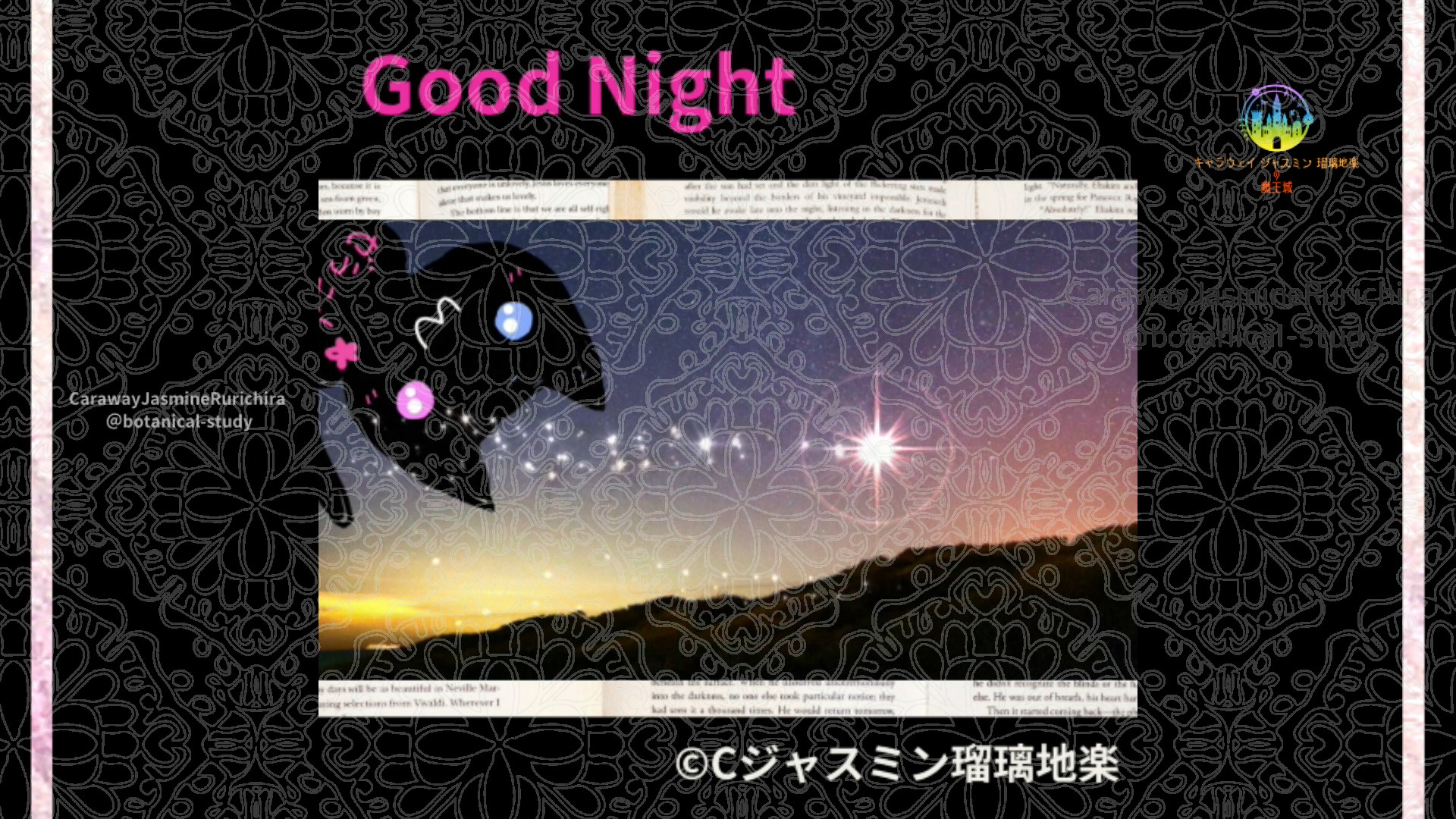 おやすみMP1 003＠botanical-study