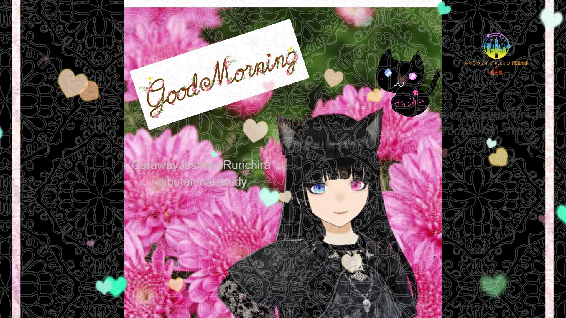 「キク」とCジャスミン瑠璃地楽の今日の誕生花B-9月9日＠botanical-study