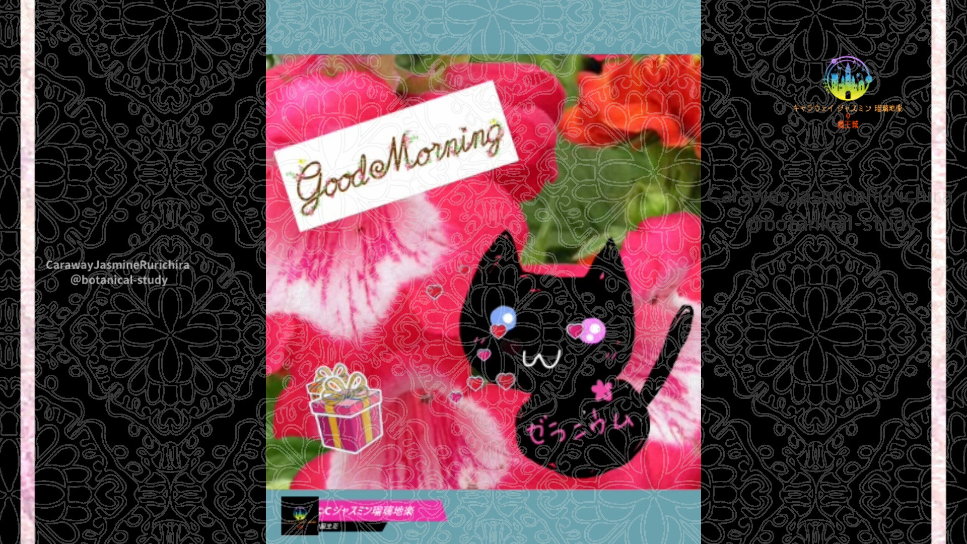 「ペンステモン」9月4日Rゼラニウム瑠璃地楽と今日の誕生花とおはようメッセージ@botanical-study
