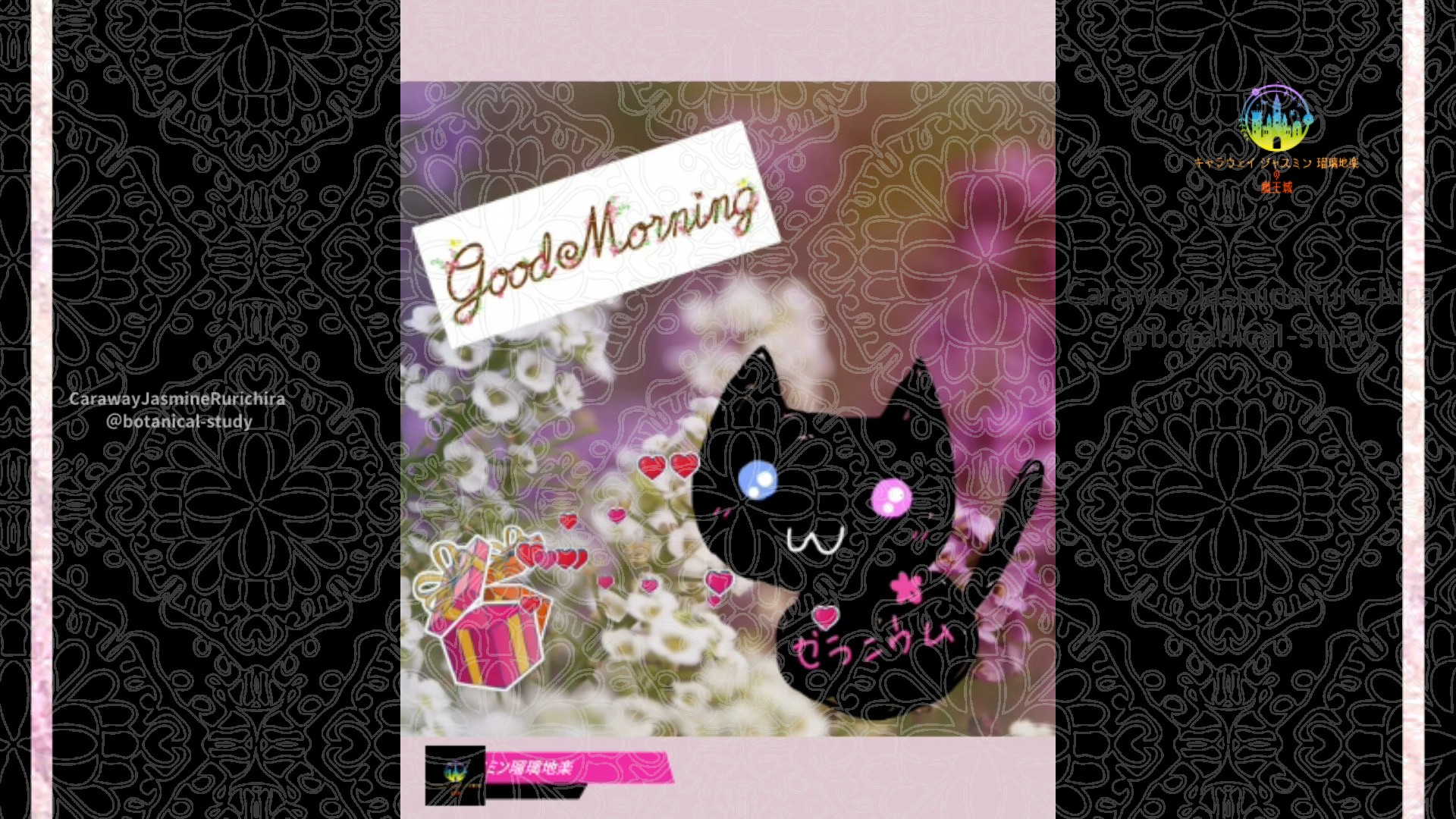 「アリッサム」10月18日Rゼラニウム瑠璃地楽と今日の誕生花とおはようメッセージ＠botanical-study