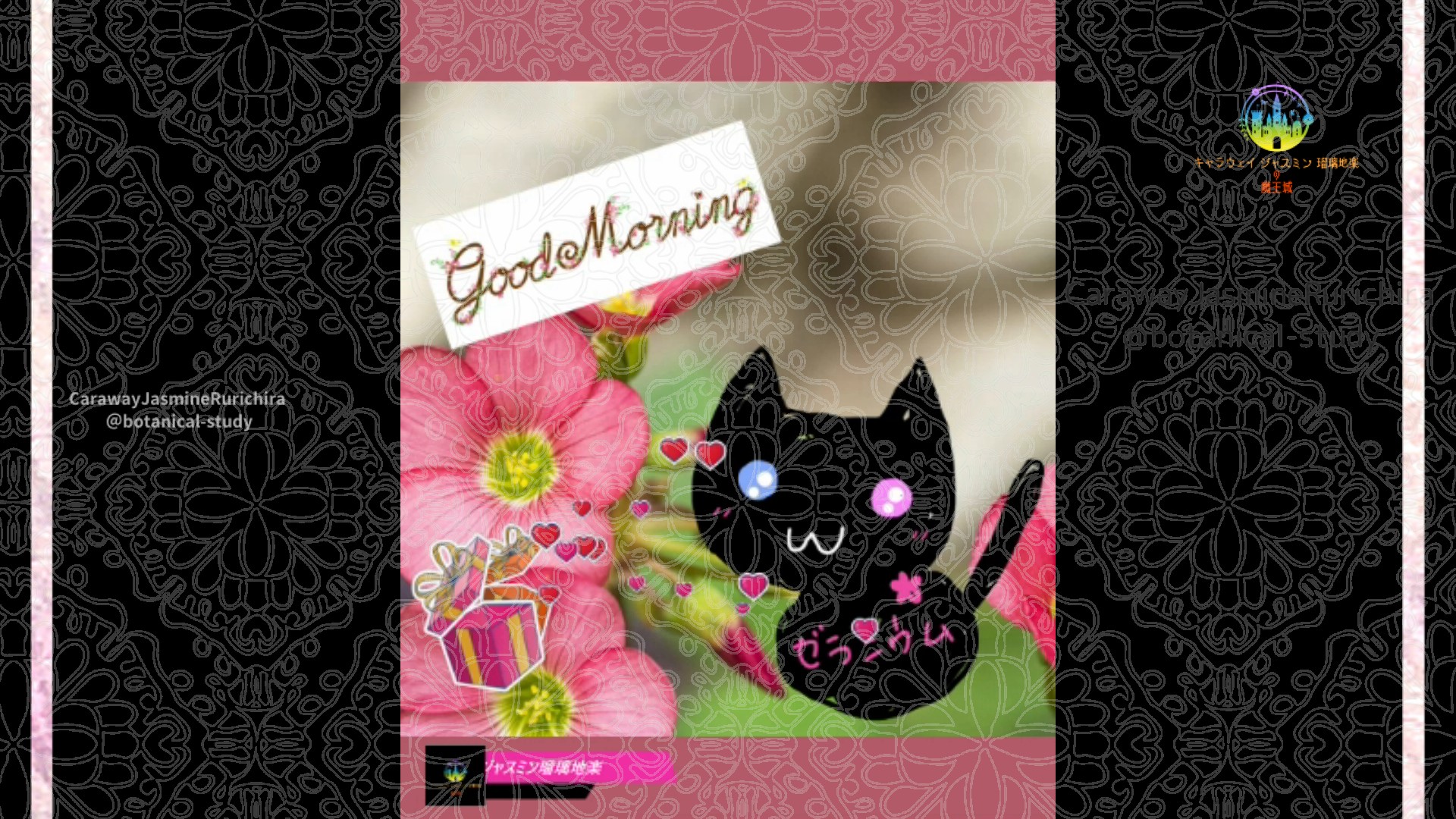 「オキザリス」10月28日Rゼラニウム瑠璃地楽と今日の誕生花とおはようメッセージ＠botanical-study