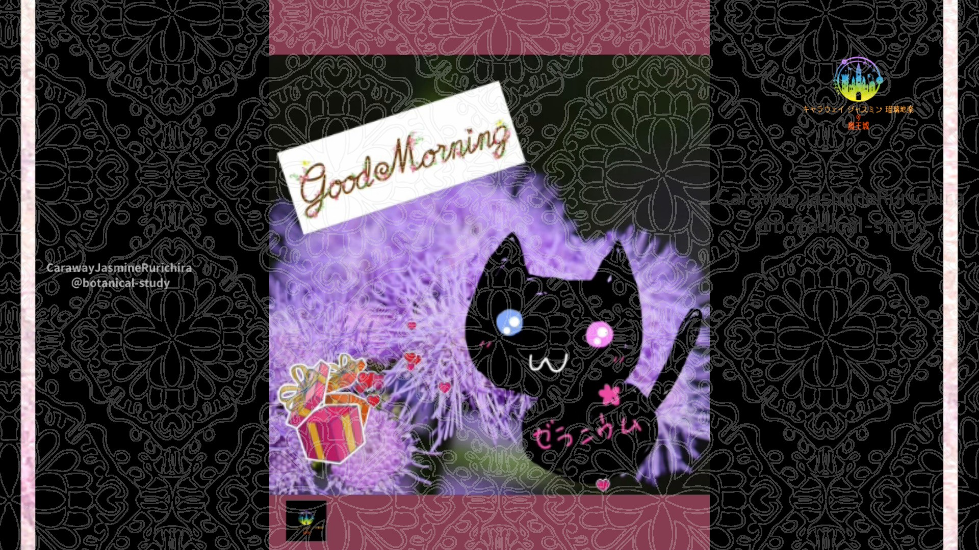 「アゲラタム」10月29日Rゼラニウム瑠璃地楽と今日の誕生花とおはようメッセージ＠botanical-study