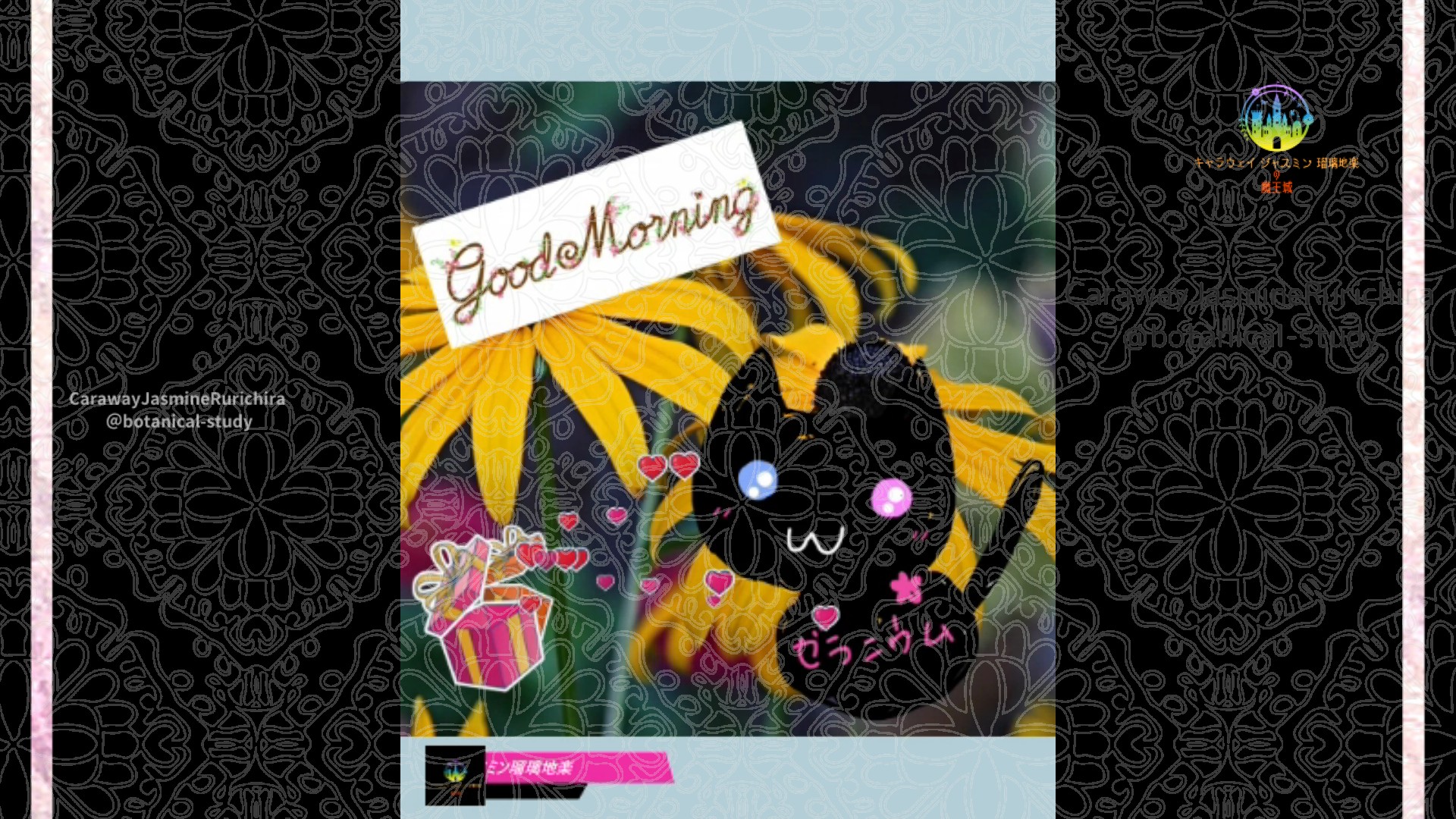 「ルドベキア」10月14日Rゼラニウム瑠璃地楽と今日の誕生花とおはようメッセージ＠botanical-study