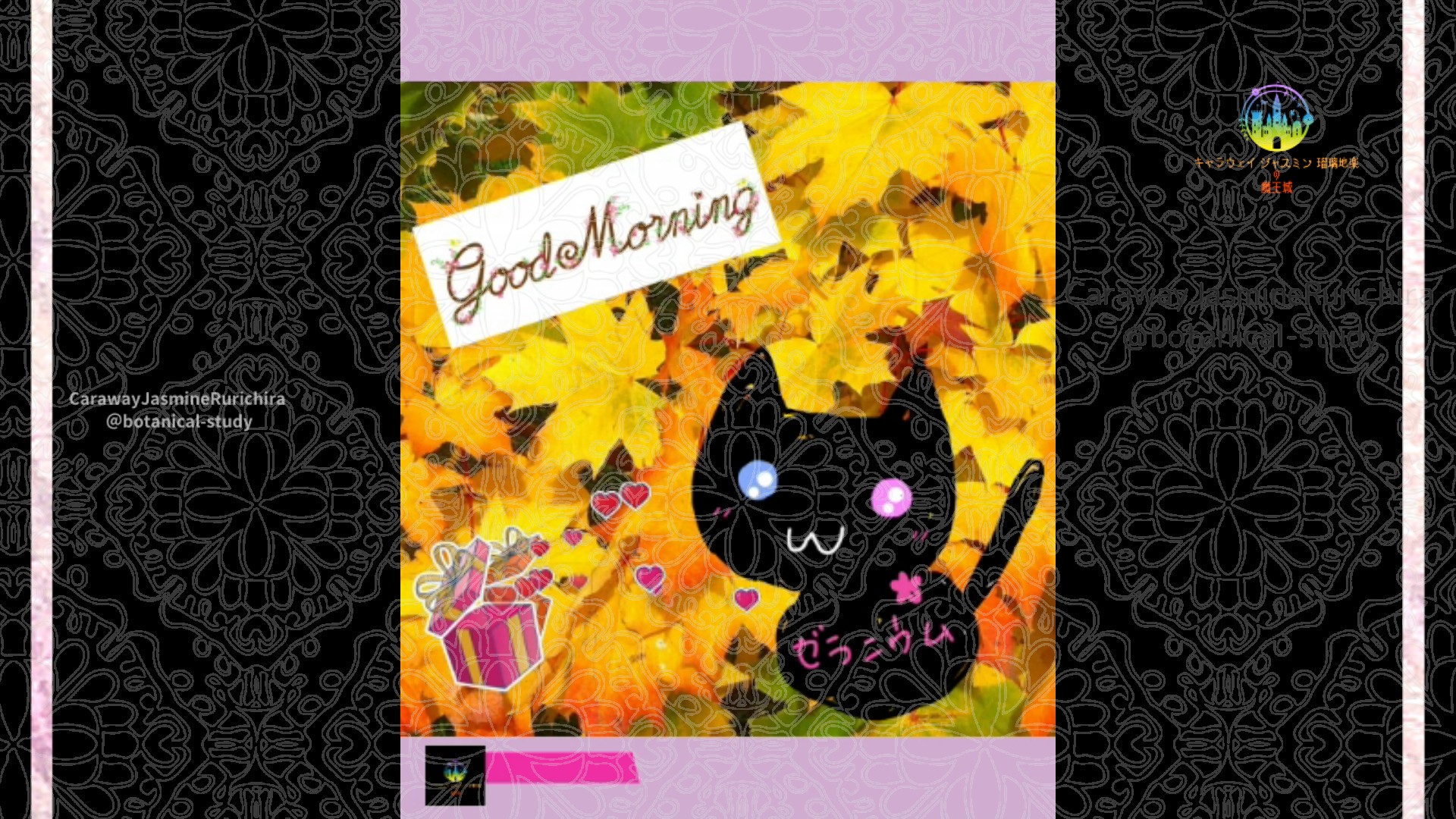 「モミジ」10月3日Rゼラニウム瑠璃地楽と今日の誕生花とおはようメッセージ＠botanical-study