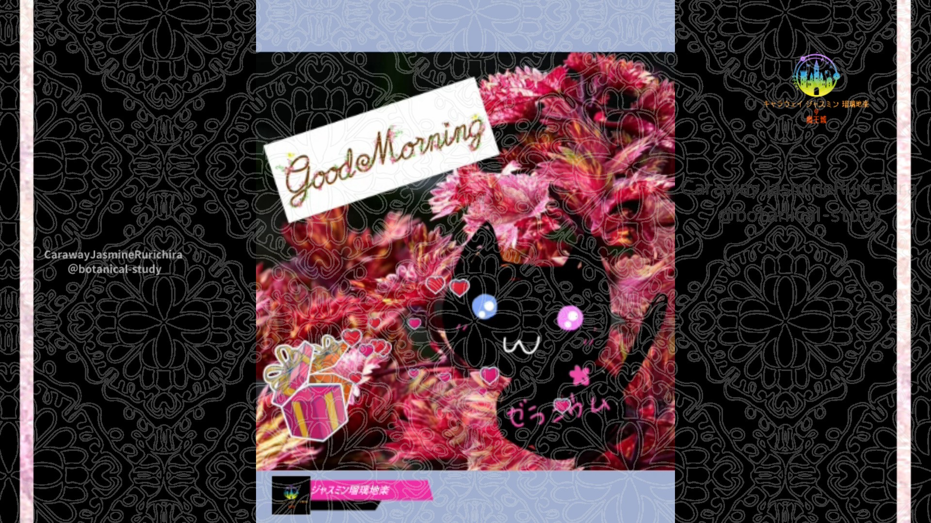 「コリウス」10月2日Rゼラニウム瑠璃地楽と今日の誕生花とおはようメッセージ＠botanical-study