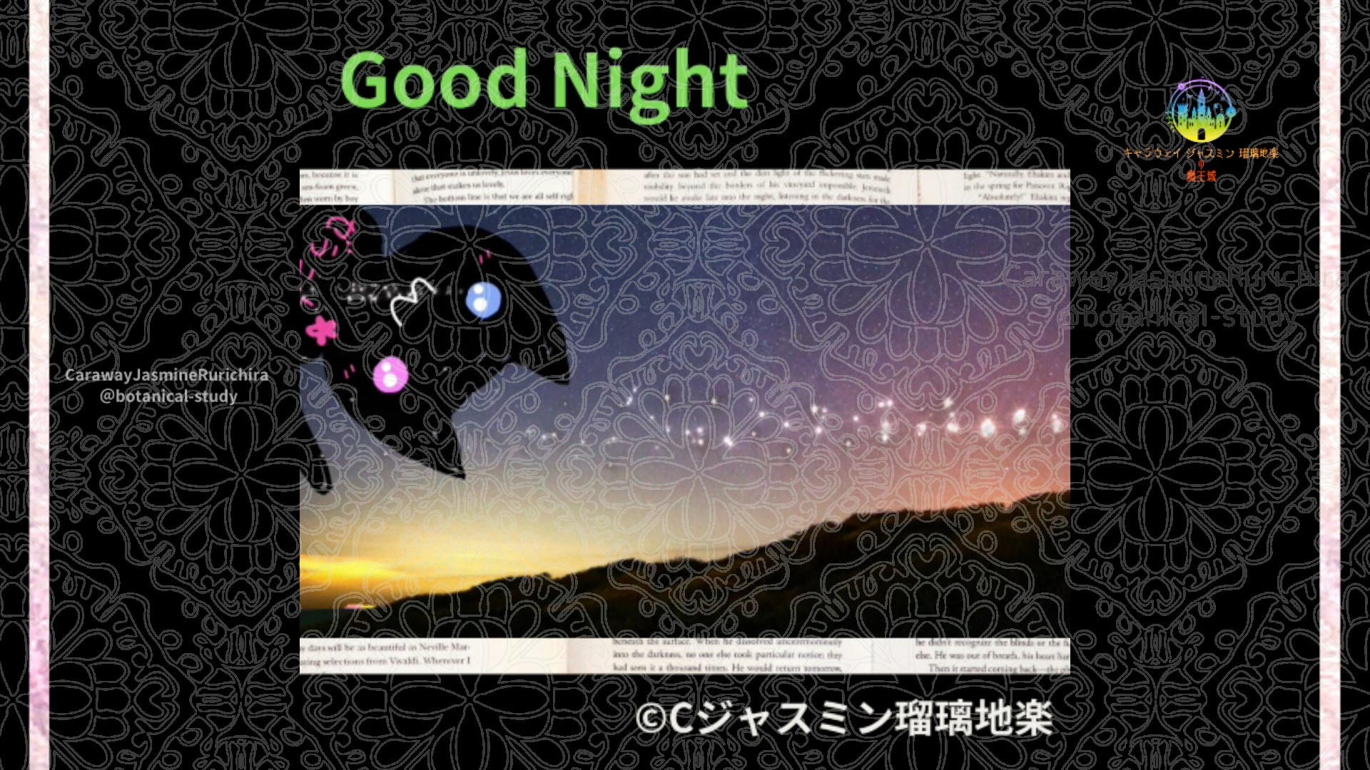 おやすみGR1 003＠botanical-study