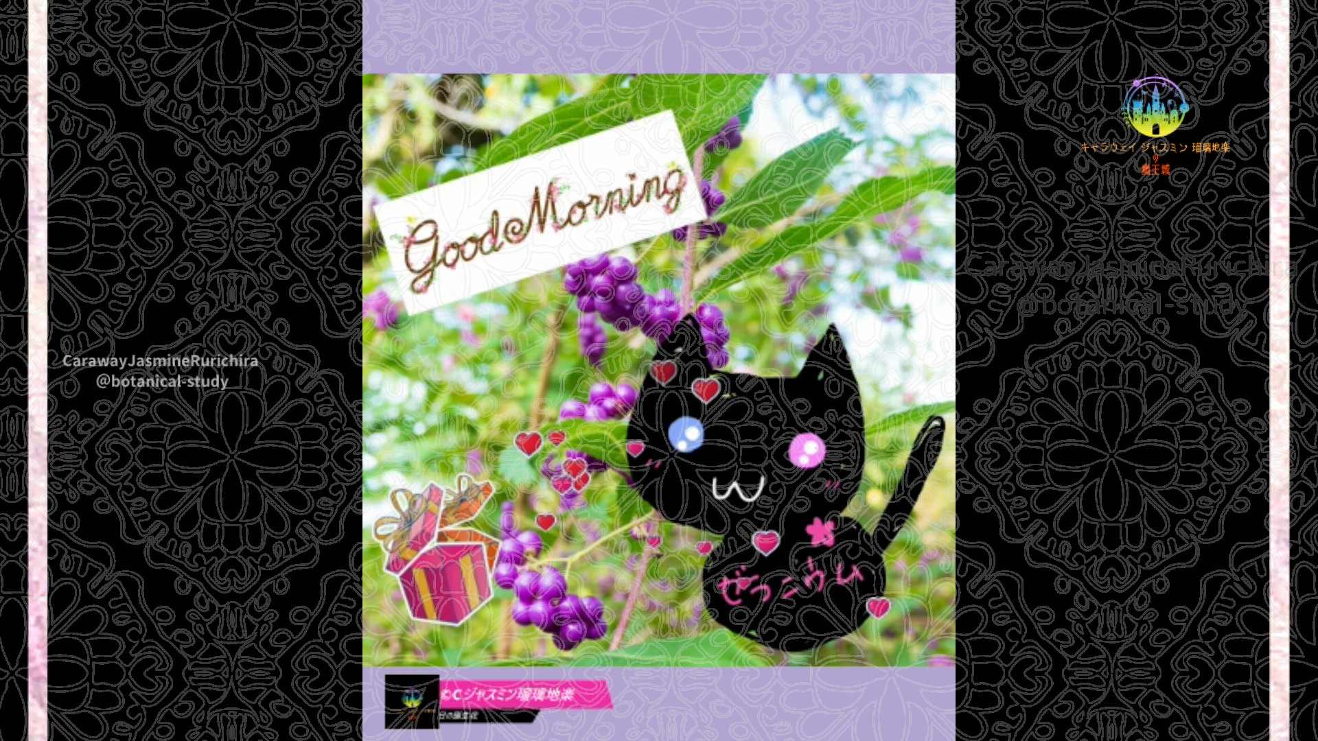 「ムラサキシキブ」10月16日Rゼラニウム瑠璃地楽と今日の誕生花とおはようメッセージ＠botanical-study