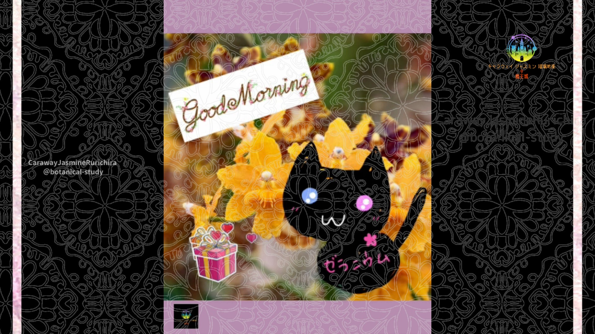 「オレンジューム」10月9日Rゼラニウム瑠璃地楽と今日の誕生花とおはようメッセージ＠botanical-study