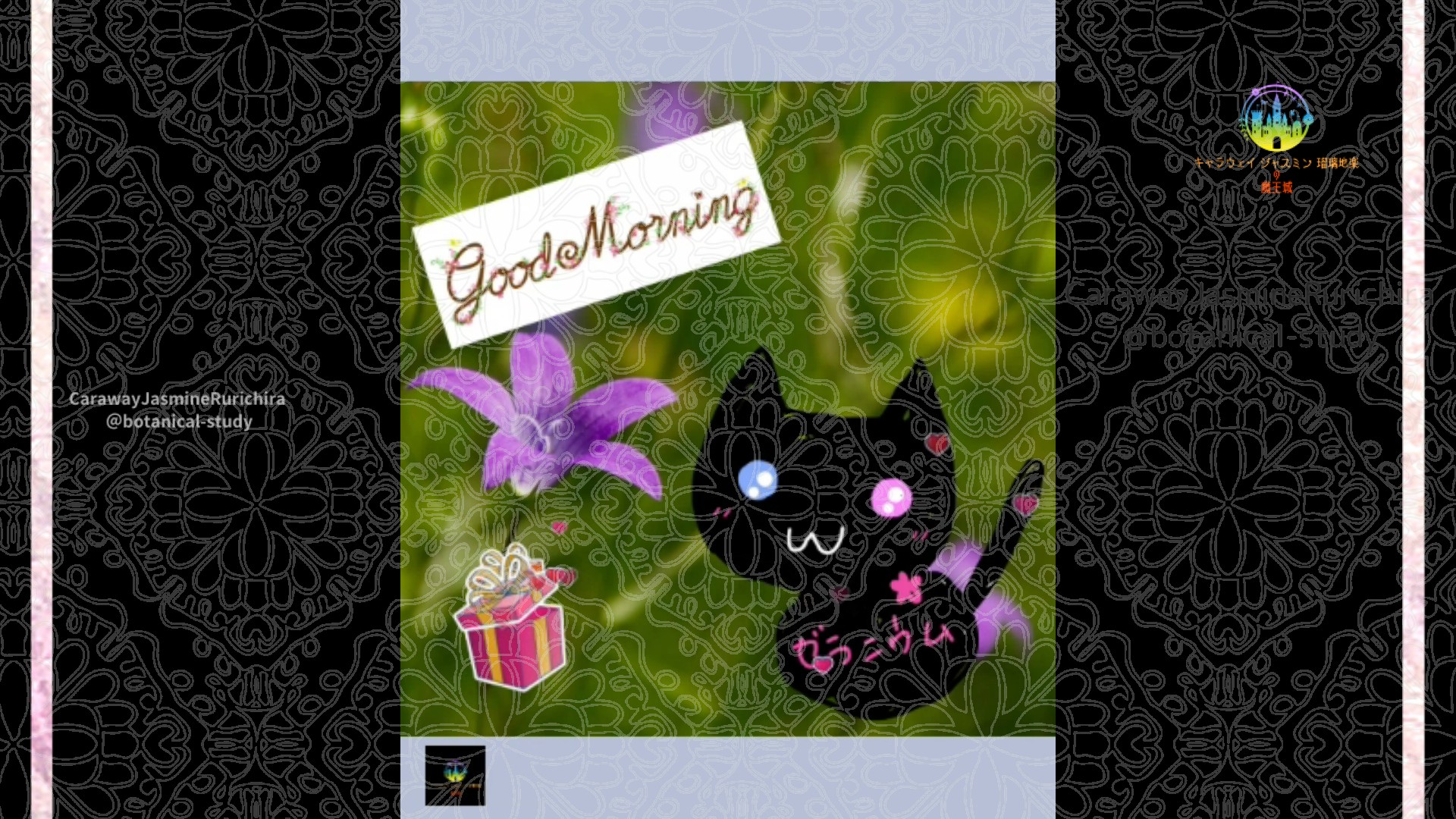 「カンパニュラ」10月4日Rゼラニウム瑠璃地楽と今日の誕生花とおはようメッセージ＠botanical-study