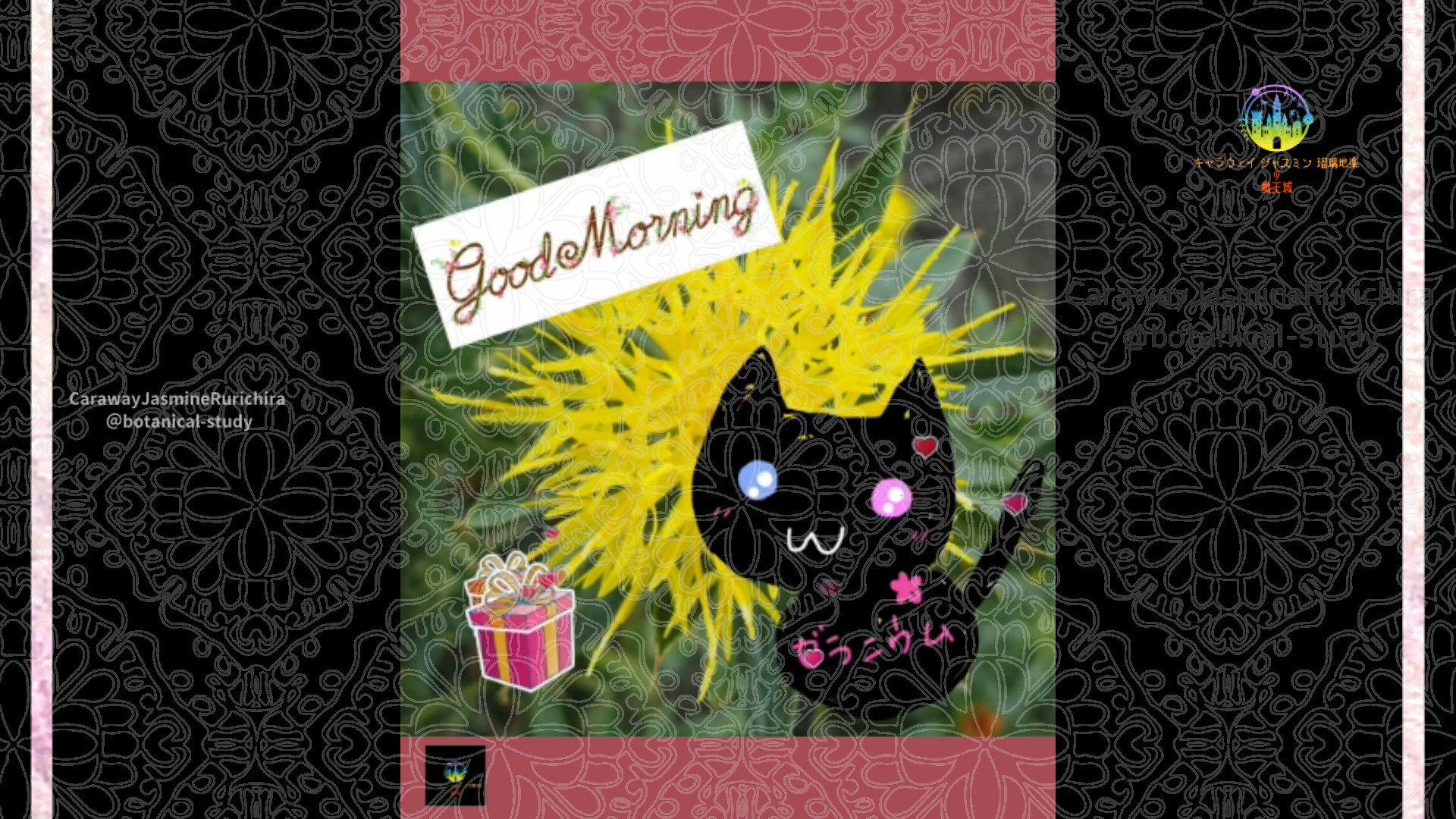 「ベニバナ」10月30日Rゼラニウム瑠璃地楽と今日の誕生花とおはようメッセージ＠botanical-study