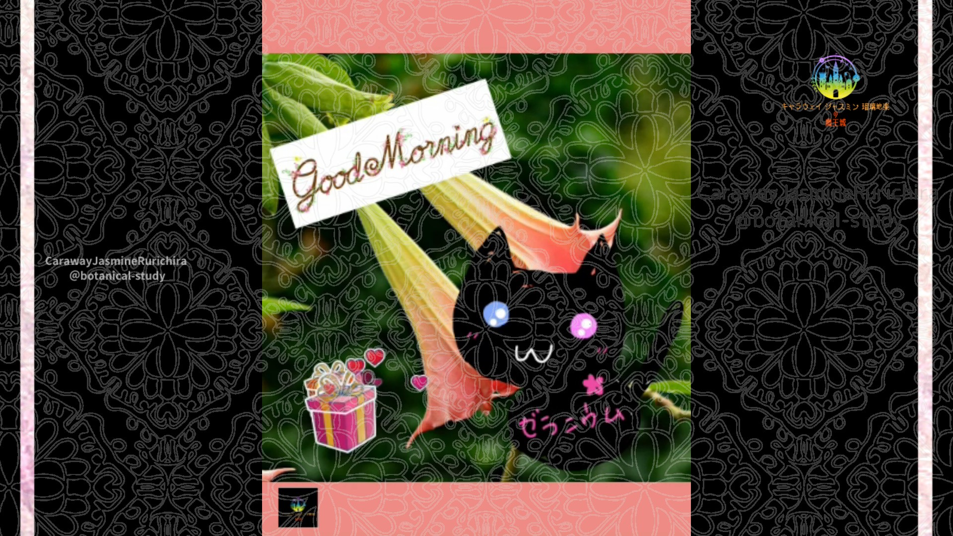 「エンゼルトランペット」10月19日Rゼラニウム瑠璃地楽と今日の誕生花とおはようメッセージ＠botanical-study