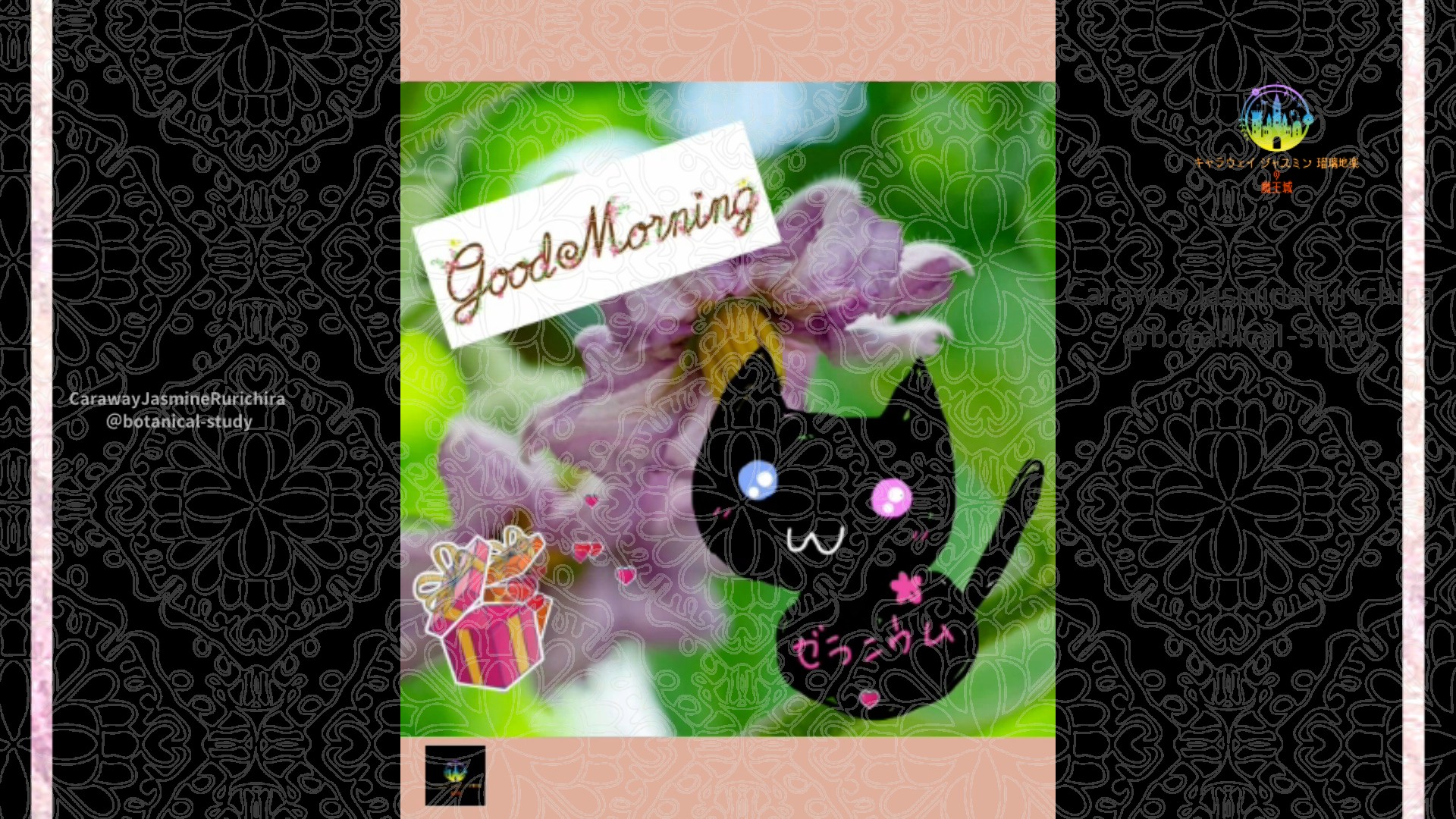 「ナス」10月10日Rゼラニウム瑠璃地楽と今日の誕生花とおはようメッセージ＠botanical-study