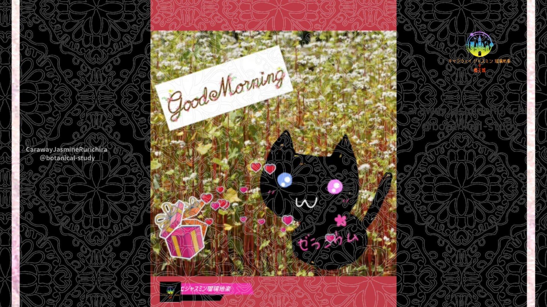 「ソバ」11月1日Rゼラニウム瑠璃地楽と今日の誕生花とおはようメッセージ＠botanical-study