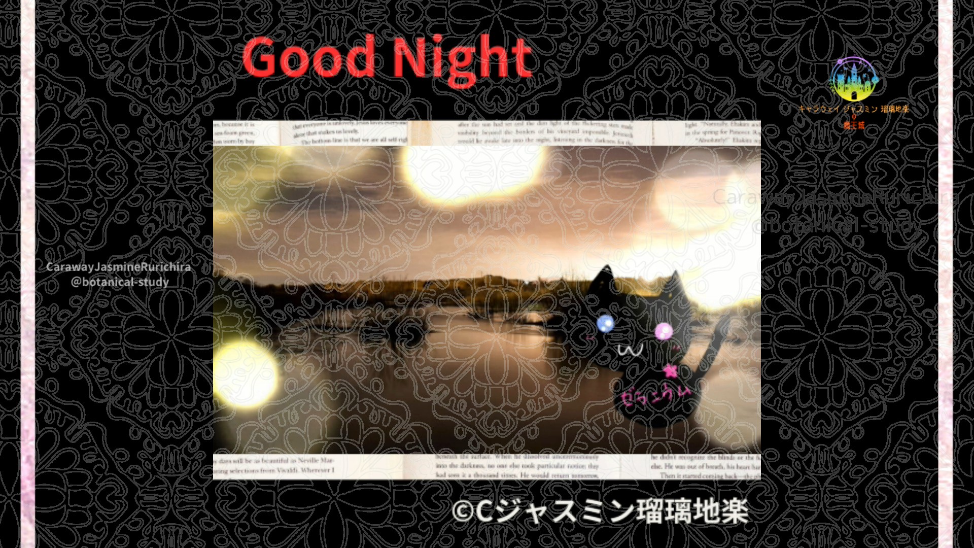 おやすみRD1 002＠botanical-study