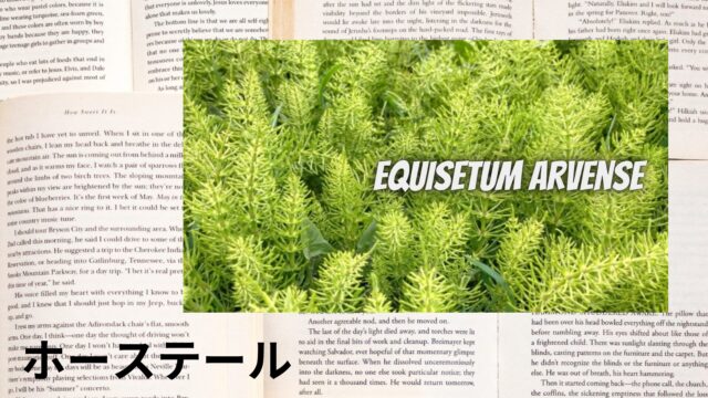 ホーステールのアロマハーブ事典(辞典)用アイキャッチ＠botanical-study