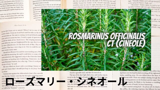 ローズマリー・シネオールのアロマハーブ事典(辞典)用アイキャッチ＠botanical-study
