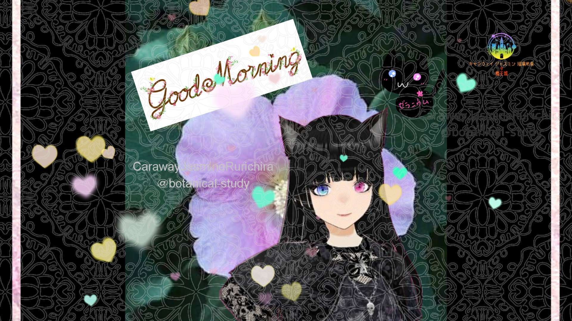 「フヨウ」とCジャスミン瑠璃地楽の今日の誕生花B-11月10日＠botanical-study