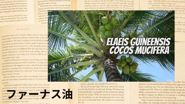 ファーナス油のアロマハーブ事典(辞典)用アイキャッチ＠botanical-study