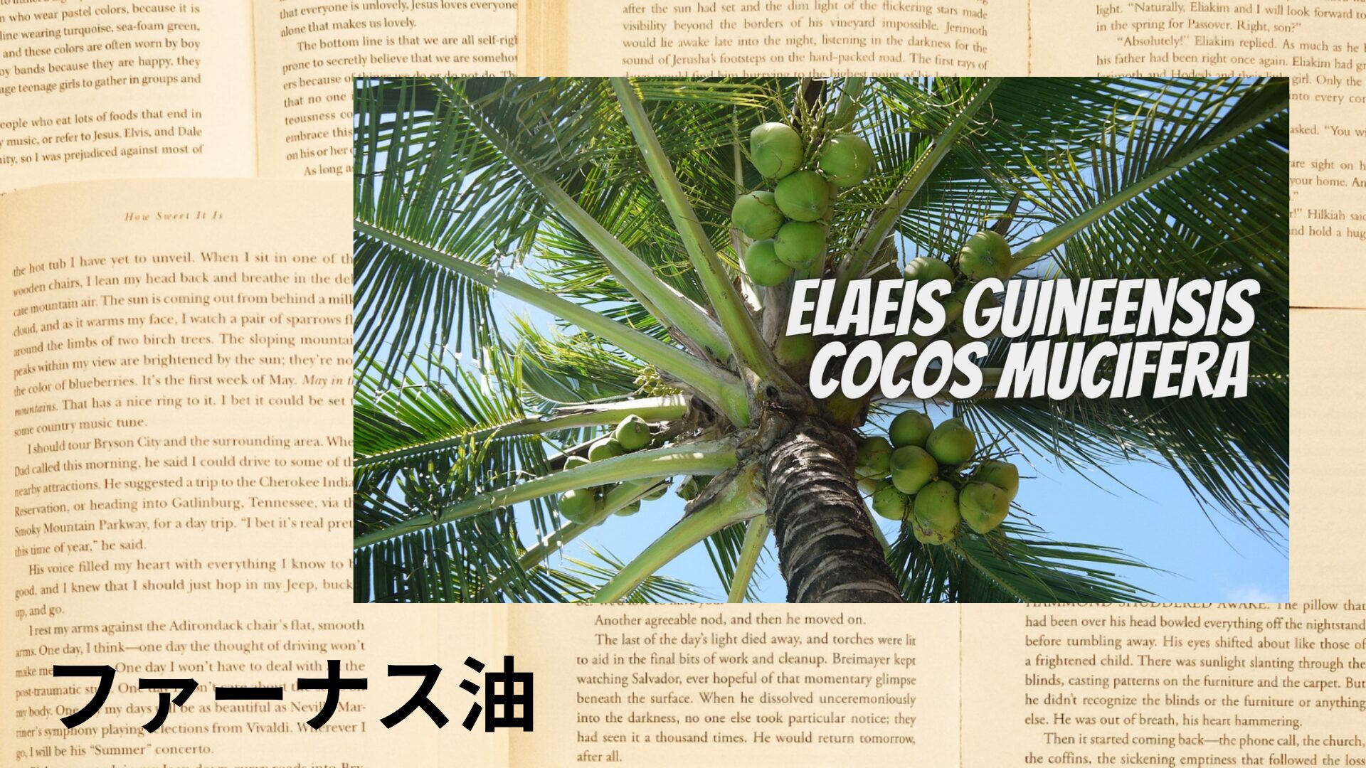 farnas-oil-aroma-herb-dictionary-eyecatch-botanical-study