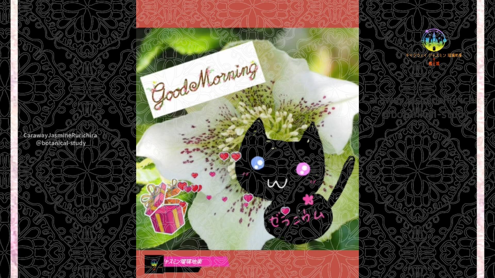 「クリスマスローズ」11月14日Rゼラニウム瑠璃地楽と今日の誕生花とおはようメッセージ＠botanical-study