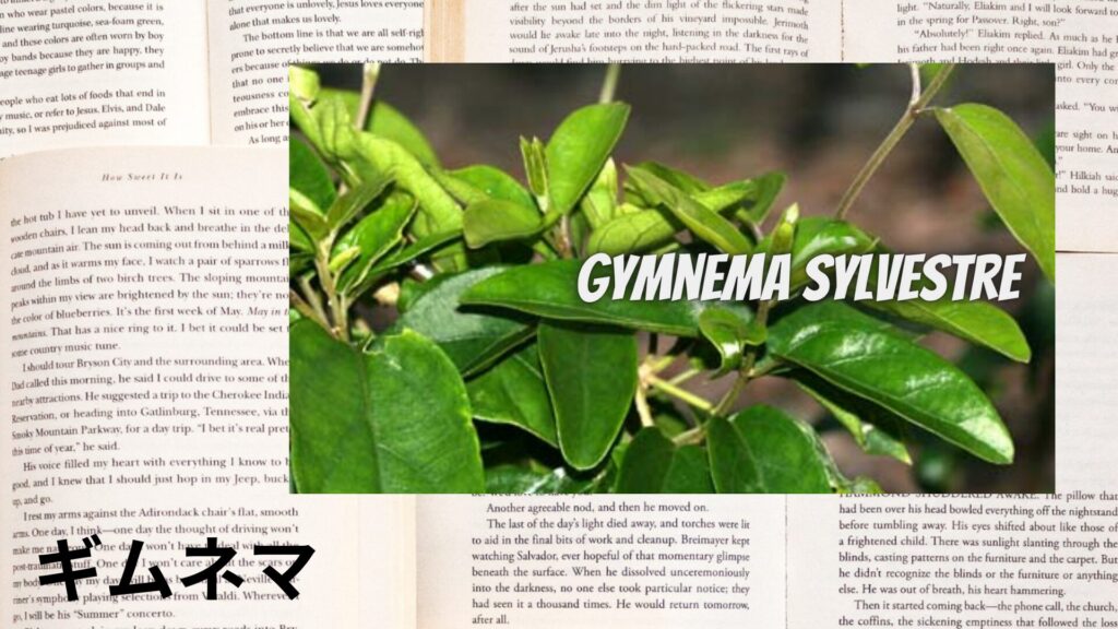 gymnema-aroma-herb-dictionary-eyecatch-botanical-study