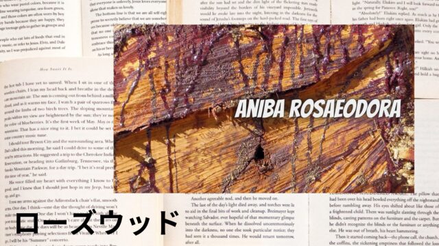 ローズウッドのアロマハーブ事典(辞典)用アイキャッチ＠botanical-study