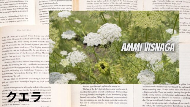 クエラのアロマハーブ事典(辞典)用アイキャッチ＠botanical-study