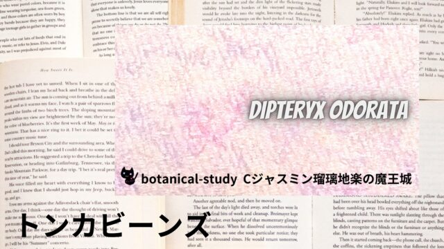 トンカビーンズのアロマハーブ事典(辞典)用アイキャッチ＠botanical-study