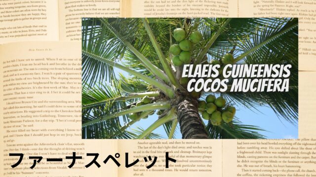 ファーナスペレットのアロマハーブ事典(辞典)用アイキャッチ＠botanical-study